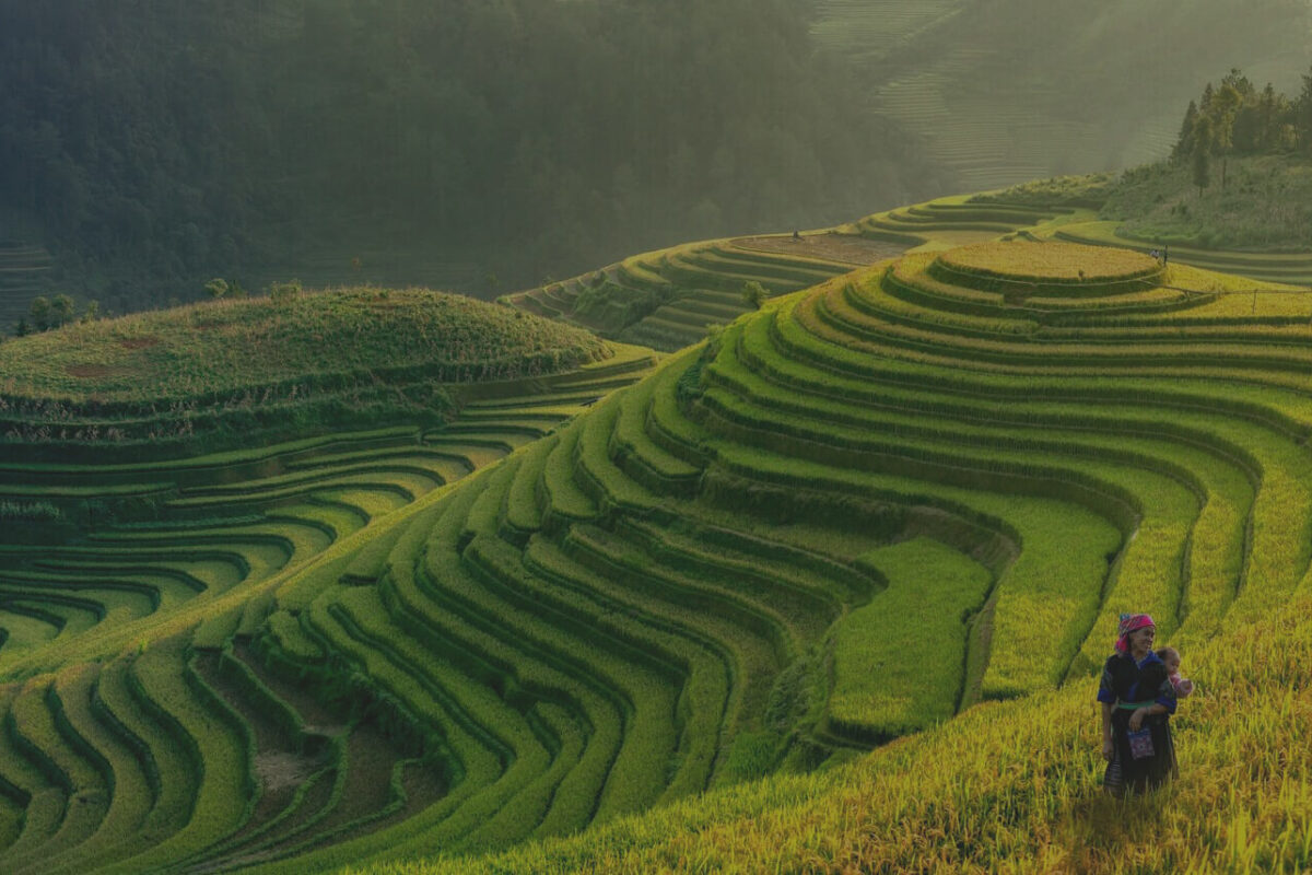 Vietnam classroom and culture