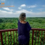Move to Vietnam (1)