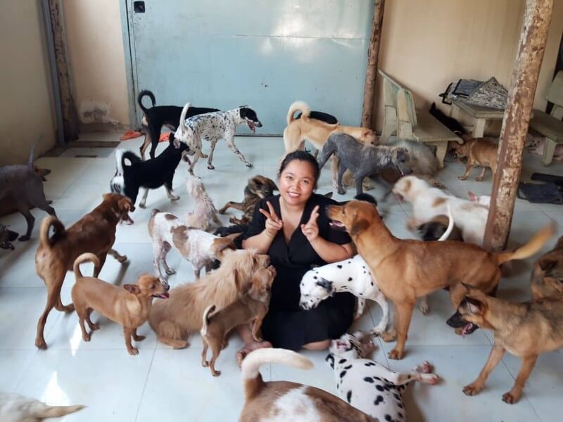 Addresses for dogs and cats rescue in Vietnam you should know