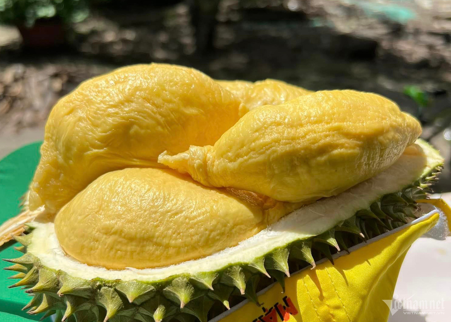 You can easily recognise durian by its strong smell! 