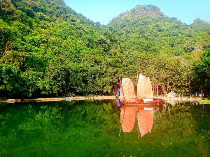 Cat Ba National Park hosts over a thousand of flora and fauna species
