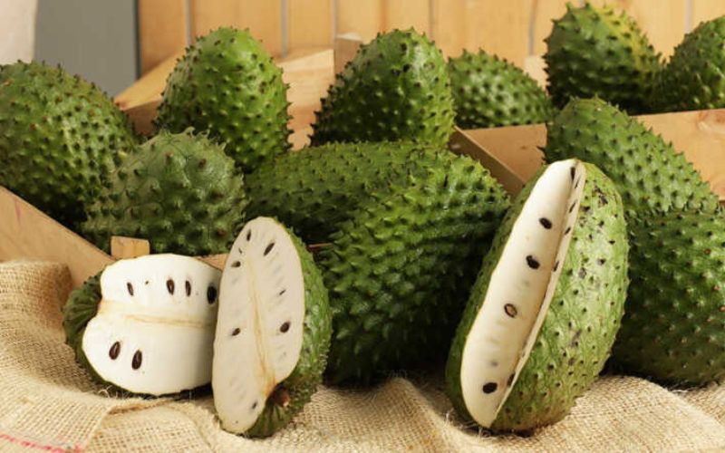 soursop has an oval shape and a darker green color than Sweet-sop. The white flesh has a pineapple-like aroma and a sweet and sour taste.