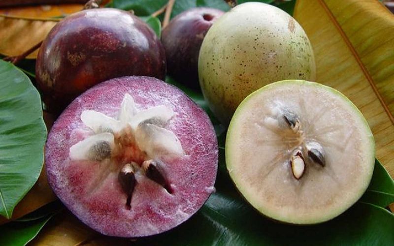 Star apple, translating to 'mother’s milk,' is a spherical fruit with tight, shiny skin
