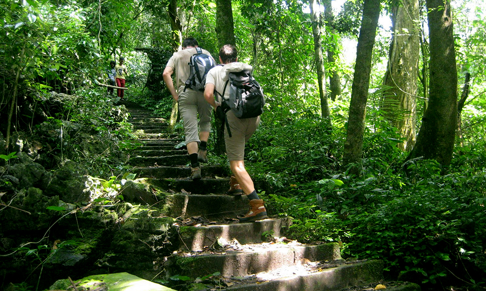  You can take a trekking trip through Cuc Phuong National Park or walk along the park's trails such as the Loop Trail or the Mac Lake Trail.