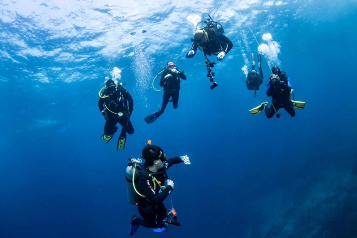 In diving courses, you learn a number of skills in order to be qualified 