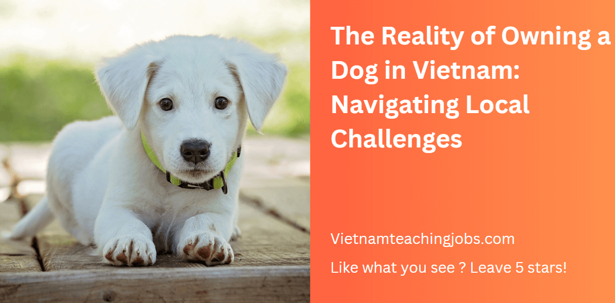 the reality of owning a dog in vietnam